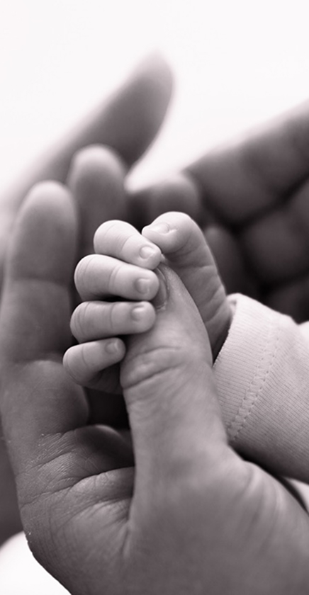 photographe à Wambrechies