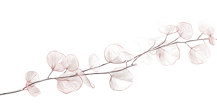 photographe à Wambrechies