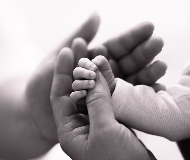 photographe à Haubourdin